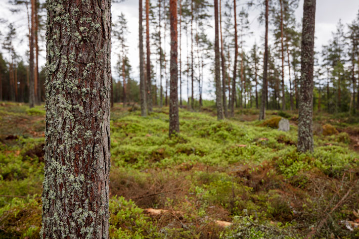 Vad bra att du vill vara med och göra skillnad!