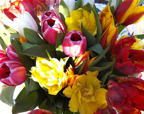 Tulpanbukett