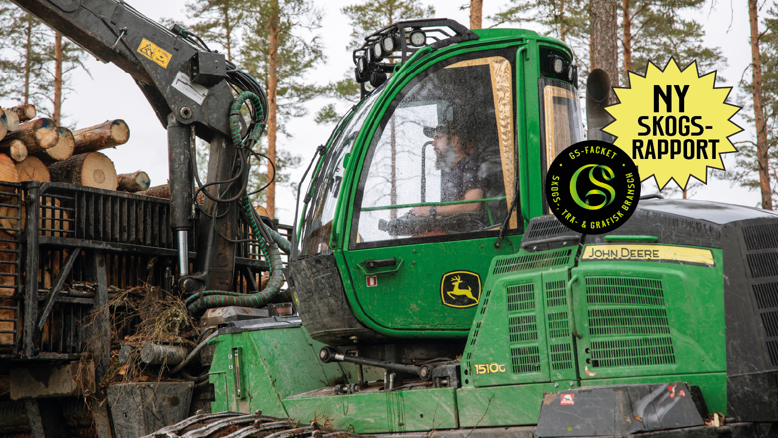 Blir det guld och gröna skogar med hyggesfritt? - GS-facket